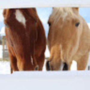 Meet your Posher, Ryann